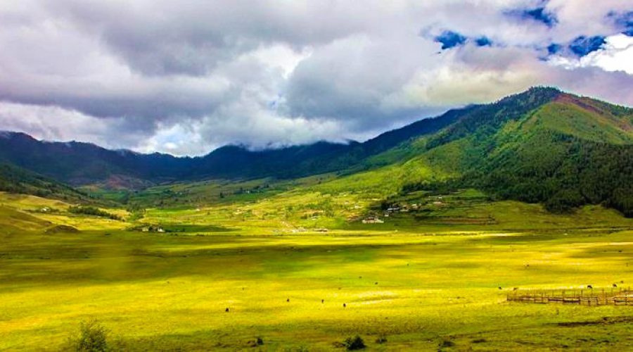 PHOBJIKHA VALLEY